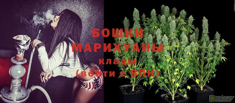 Шишки марихуана White Widow  shop какой сайт  Саров  ОМГ ОМГ как войти 